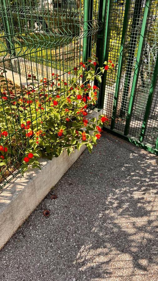 Le Val D'Azur Daire Nice Dış mekan fotoğraf