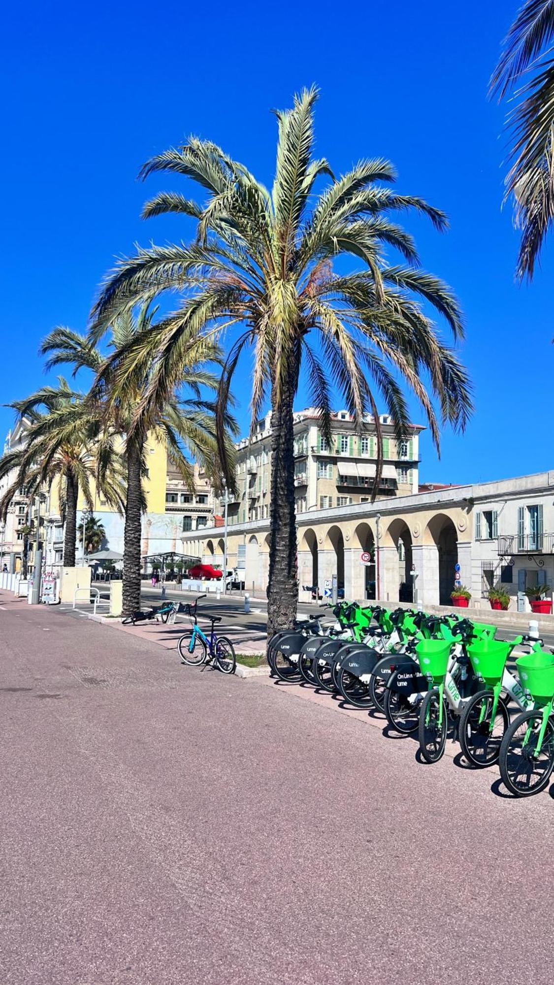 Le Val D'Azur Daire Nice Dış mekan fotoğraf